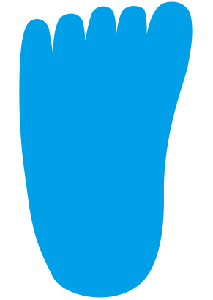 Footprint Technologies, Inc.